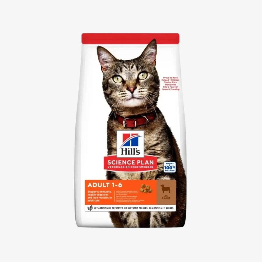 _monge_cat_bwild_grain_free_85_monge_cat_bwild_grain_free_85_ (63).webp