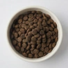 4.webp