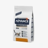 catalogue_background (57).webp