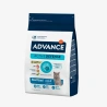 catalogue_background_savezone (11).webp