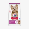 catalogue_background_savezone - 2026-06-01T142445.044.webp