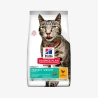 catalogue_background_savezone - 2026-06-02T115913.395.webp