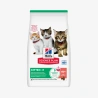 catalogue_background_savezone - 2026-06-02T171721.911.webp