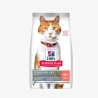 catalogue_background_savezone - 2026-06-02T175042.892.webp