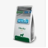catalogue_background_savezone - 2026-06-11T110818.796.webp