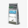 catalogue_background_savezone - 2026-06-11T122211.396.webp