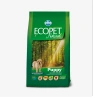 catalogue_background_savezone - 2026-06-11T181846.195.webp
