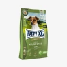 catalogue_background_savezone - 2026-07-30T104456.410.webp