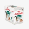 catalogue_background_savezone - 2026-08-03T145759.673.webp