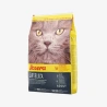 catalogue_background_savezone - 2026-08-07T182802.223.webp