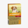 catalogue_background_savezone - 2026-08-11T122629.353.webp
