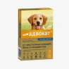 catalogue_background_savezone - 2026-08-11T141908.950.webp