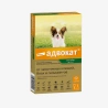 catalogue_background_savezone - 2026-08-11T142346.054.webp