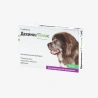 catalogue_background_savezone - 2026-08-17T174723.921.webp