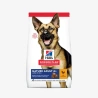 catalogue_background_savezone (23).webp