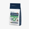 catalogue_background_savezone (25).webp