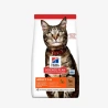 catalogue_background_savezone (29).webp