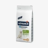 catalogue_background_savezone (39).webp