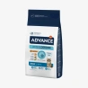 catalogue_background_savezone (6).webp