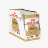 catalogue_background_savezone (71).webp