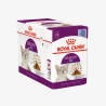 _monge_cat_bwild_grain_free_85_monge_cat_bwild_grain_free_85_ - 2026-05-04T112422.633.webp