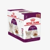 _monge_cat_bwild_grain_free_85_monge_cat_bwild_grain_free_85_ - 2026-05-04T114203.932.webp