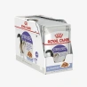 _monge_cat_bwild_grain_free_85_monge_cat_bwild_grain_free_85_ - 2026-05-04T123907.753.webp